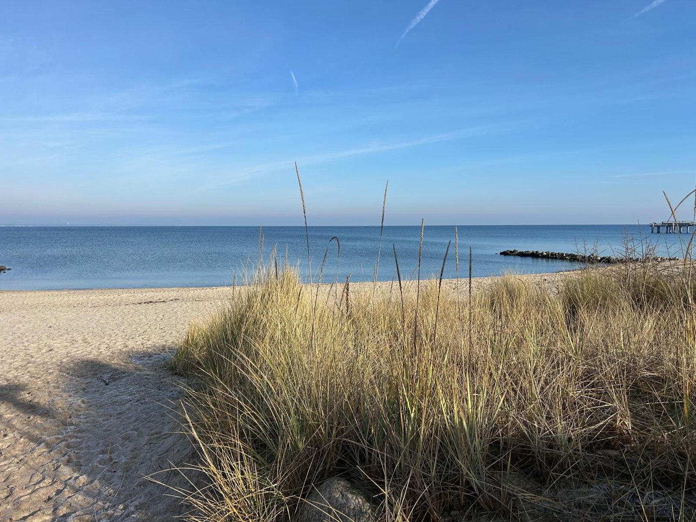 Dünen mit Blick aufs Meer